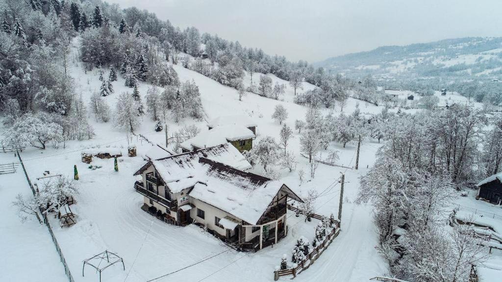 Lacrima Izei Villa Izaszacsal Kültér fotó