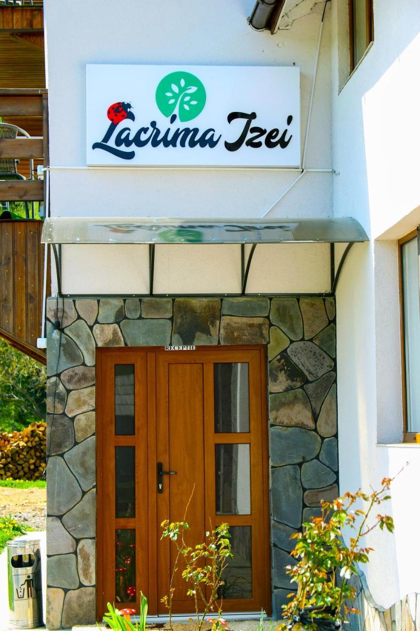 Lacrima Izei Villa Izaszacsal Kültér fotó